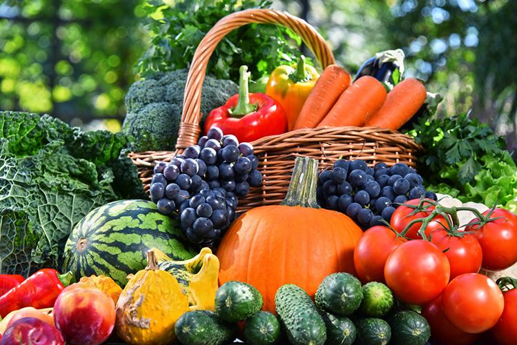 和西瓜长得一模一样的是什么瓜有图片吗? 和西瓜长得一模一样的是什么瓜有图片吗?